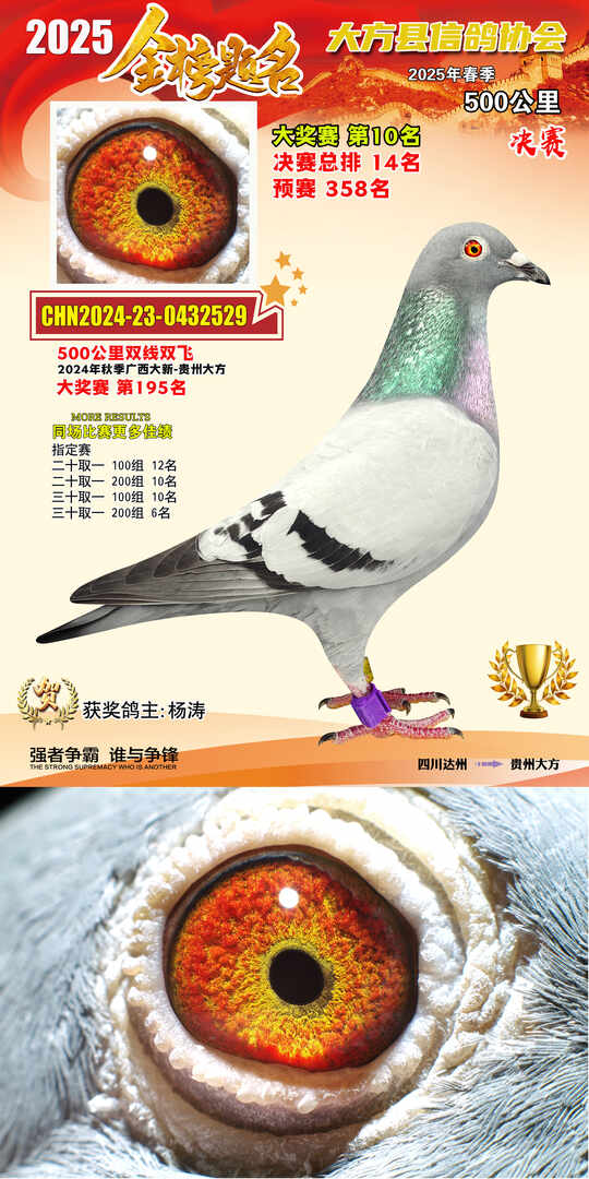 大奖10号