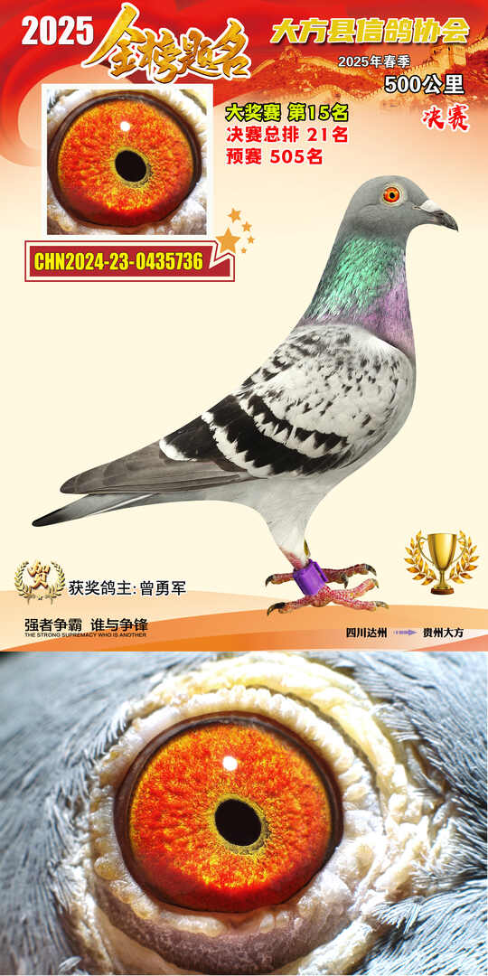 大奖15号