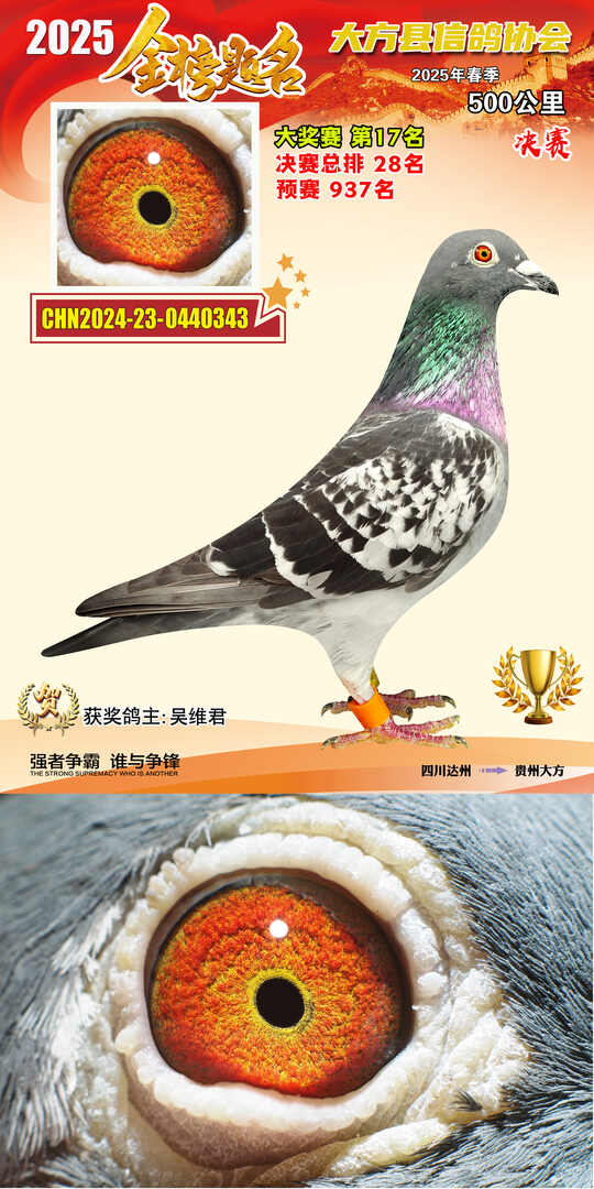 大奖17号