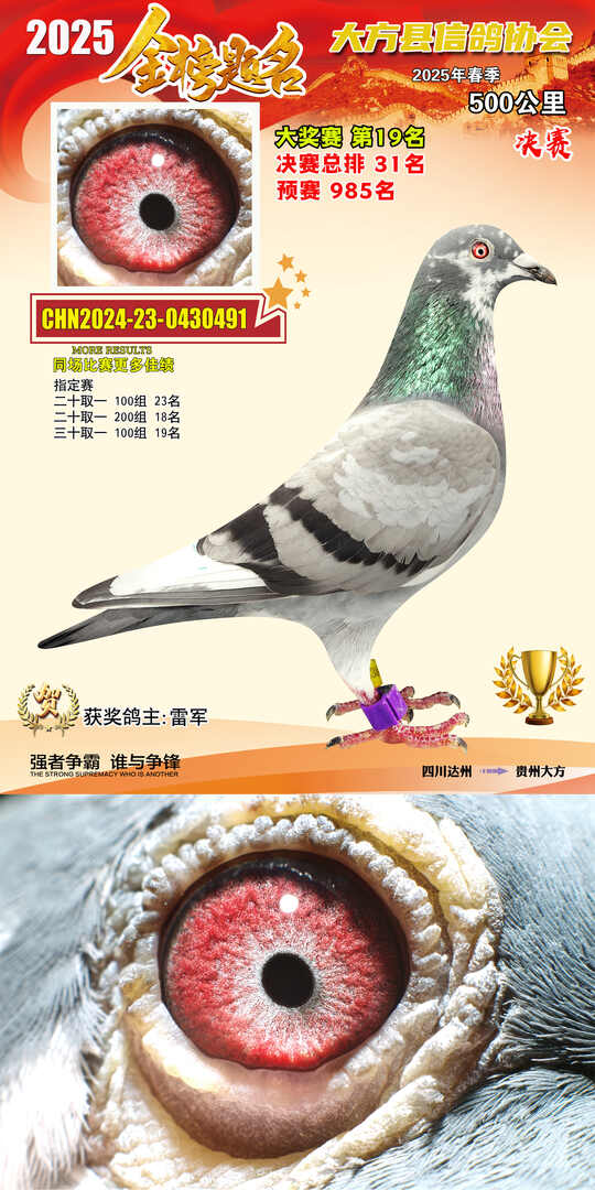 大奖19号