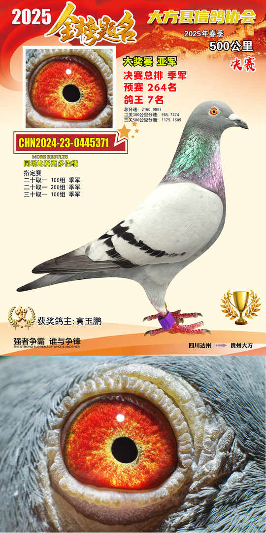 大奖2号