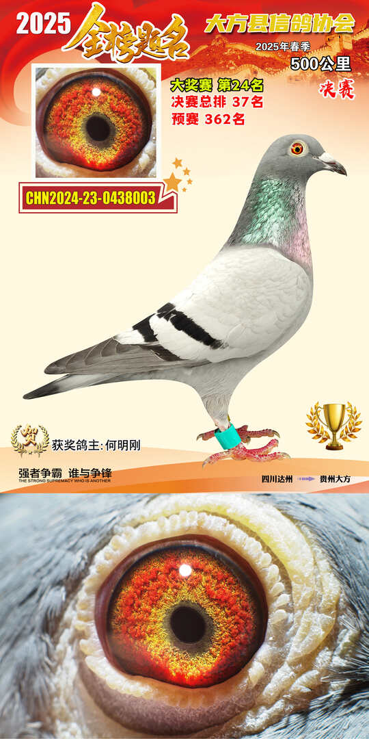 大奖24号