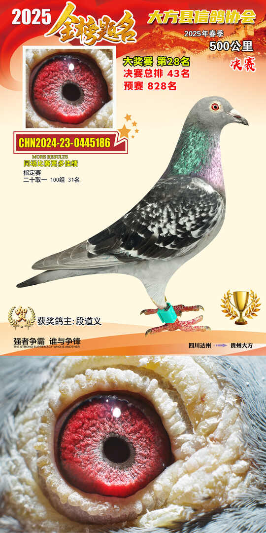 大奖28号
