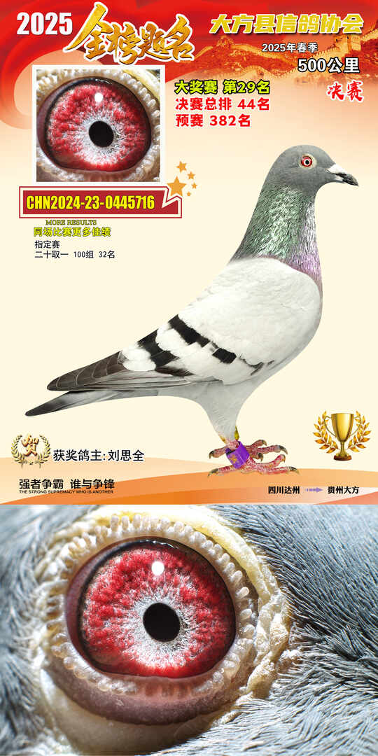 大奖29号