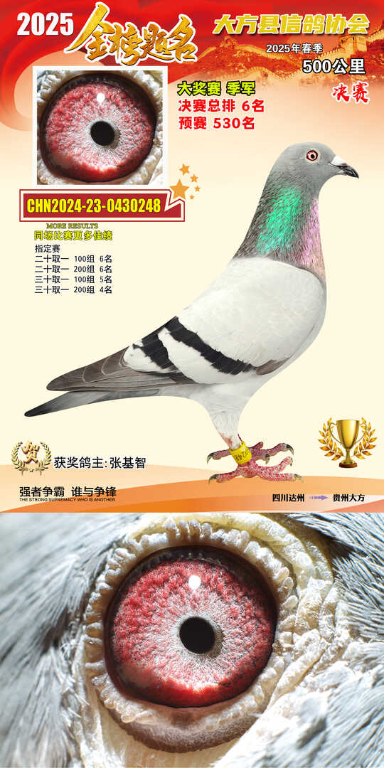 大奖3号