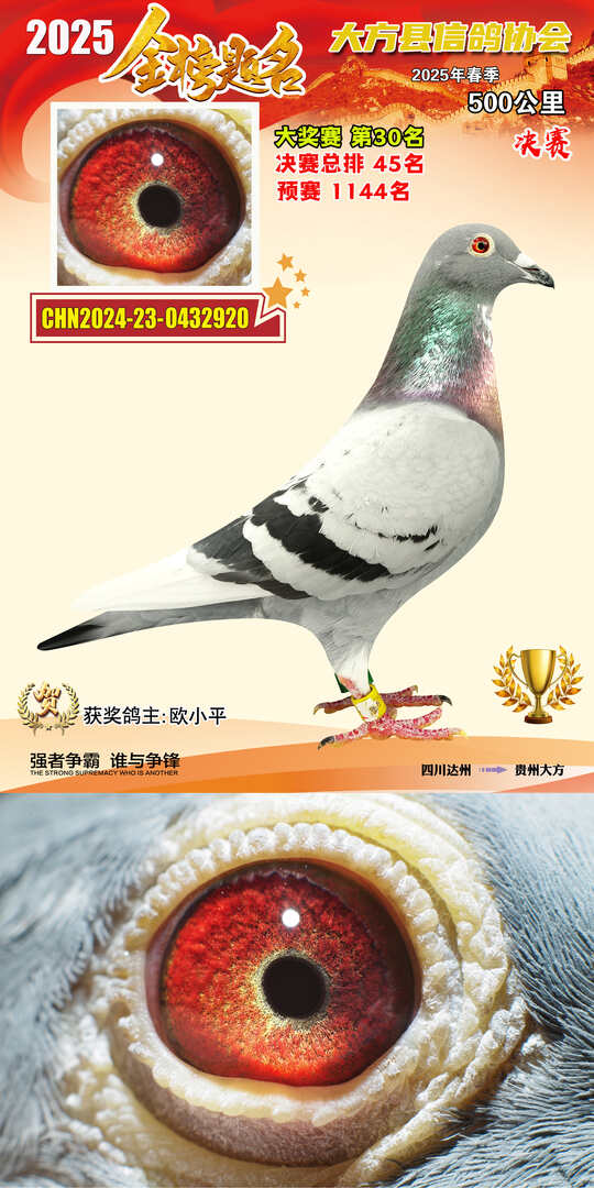 大奖30号