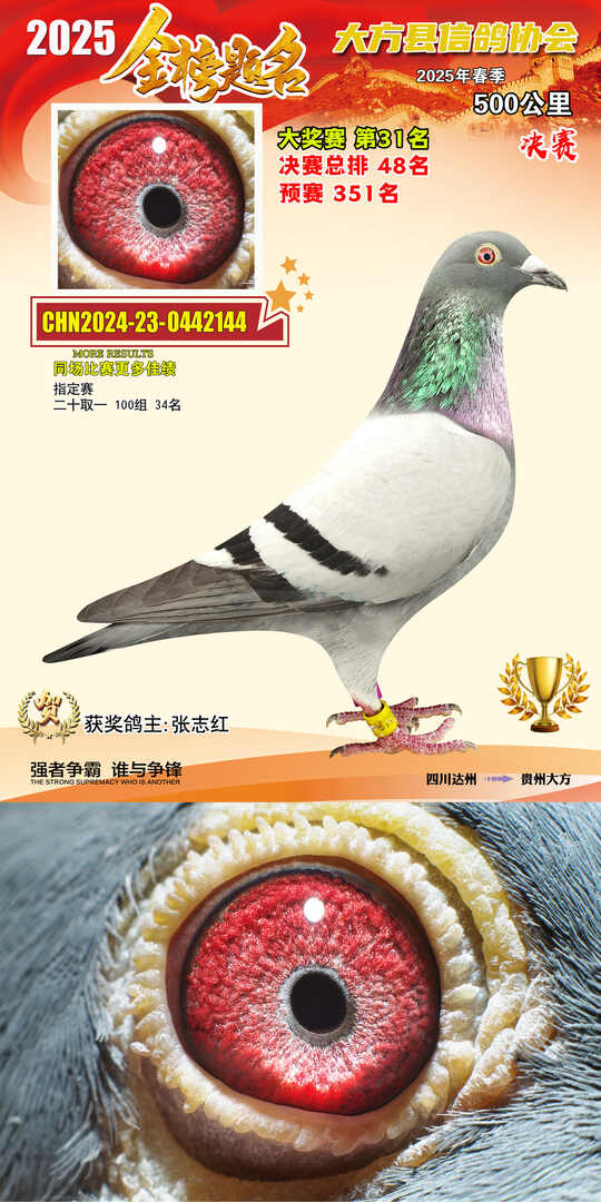 大奖31号