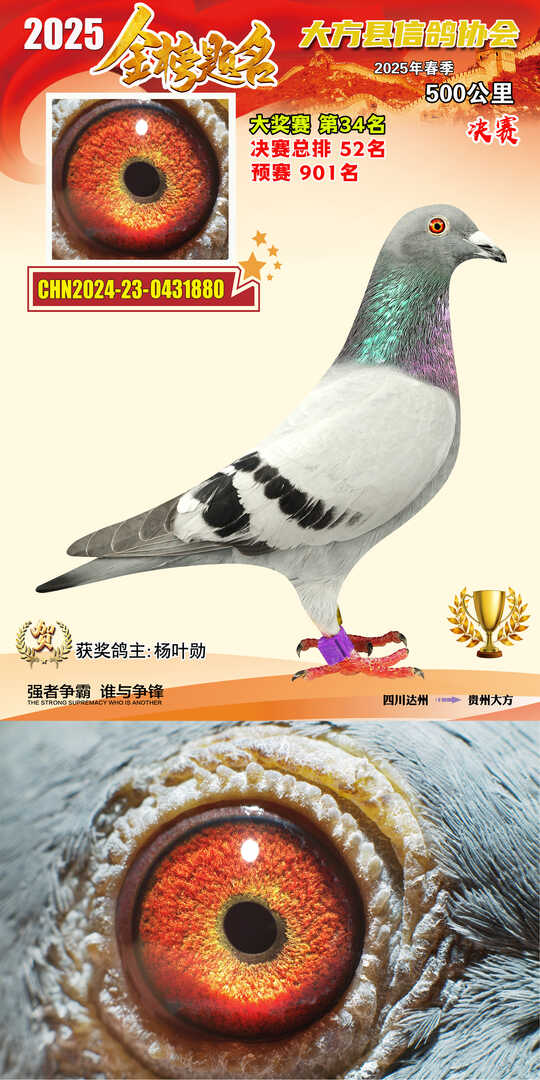 大奖34号