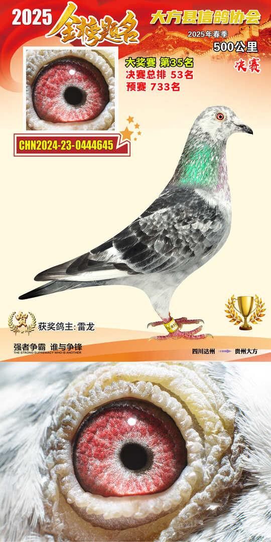 大奖35号