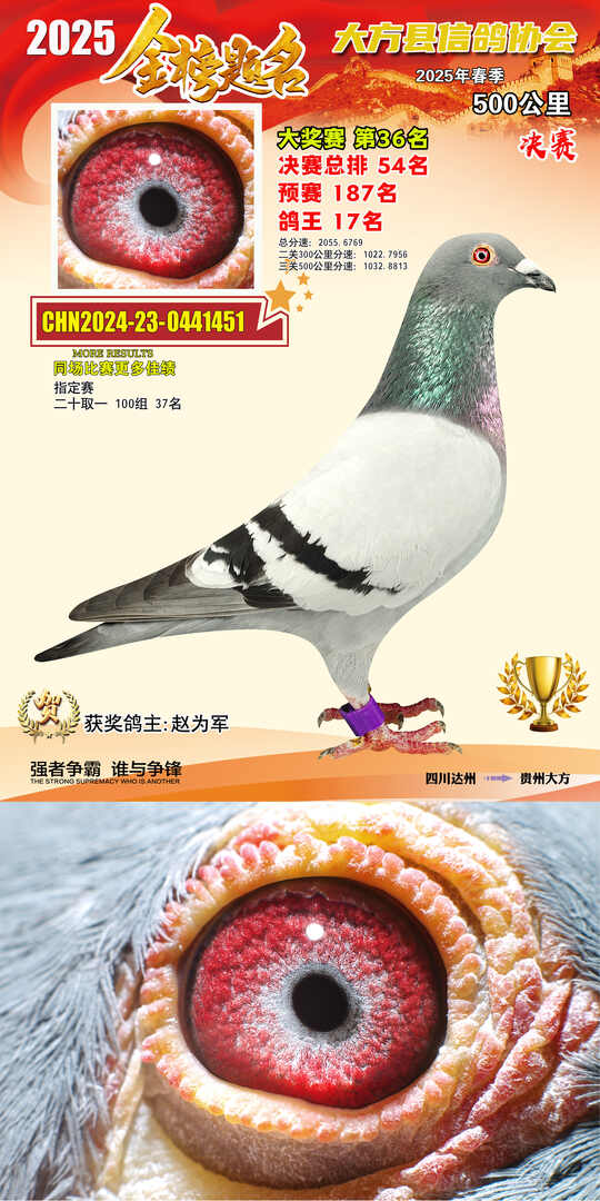 大奖36号