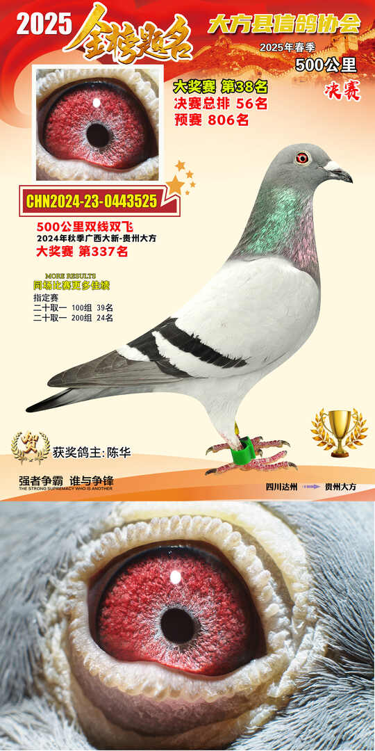 大奖38号