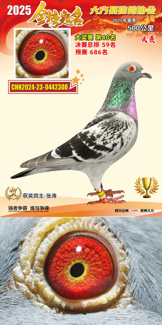 大奖40号