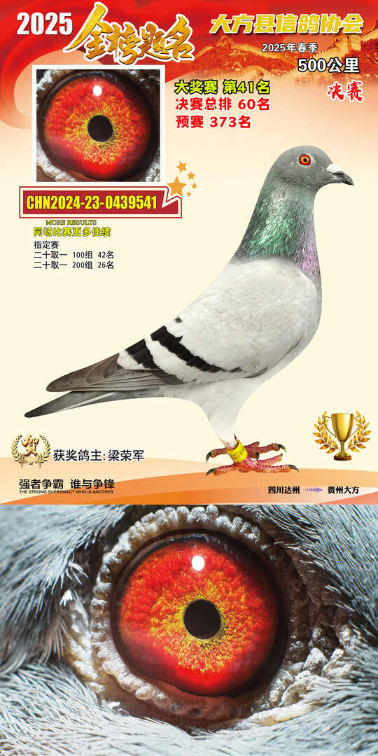 大奖41号