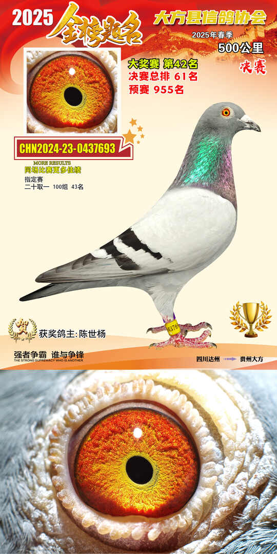 大奖42号