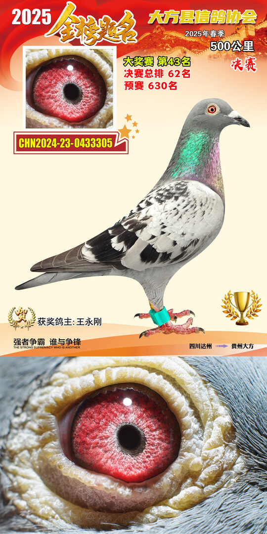 大奖43号