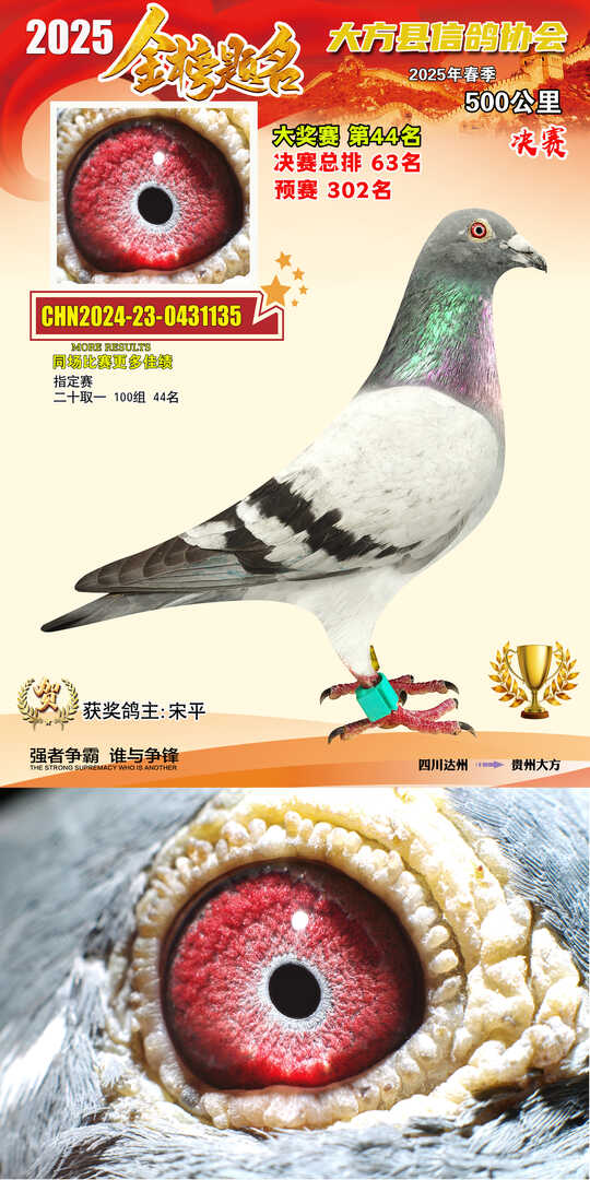 大奖44号