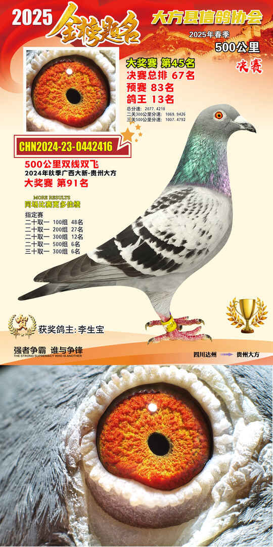 大奖45号