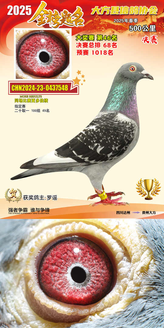大奖46号