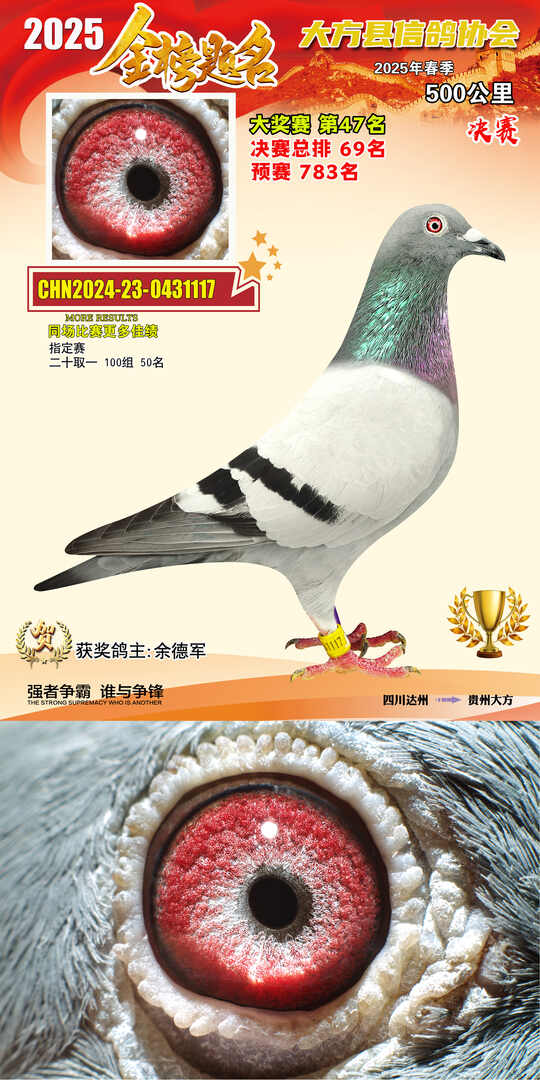 大奖47号