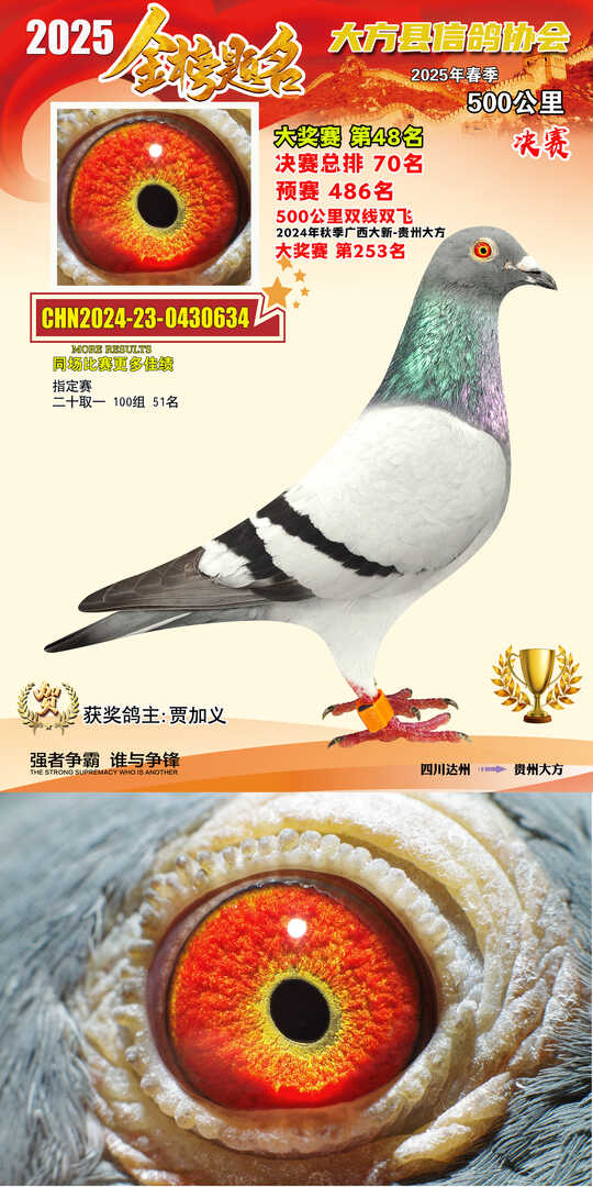 大奖48号