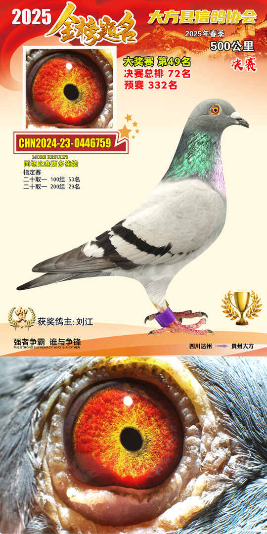 大奖49号