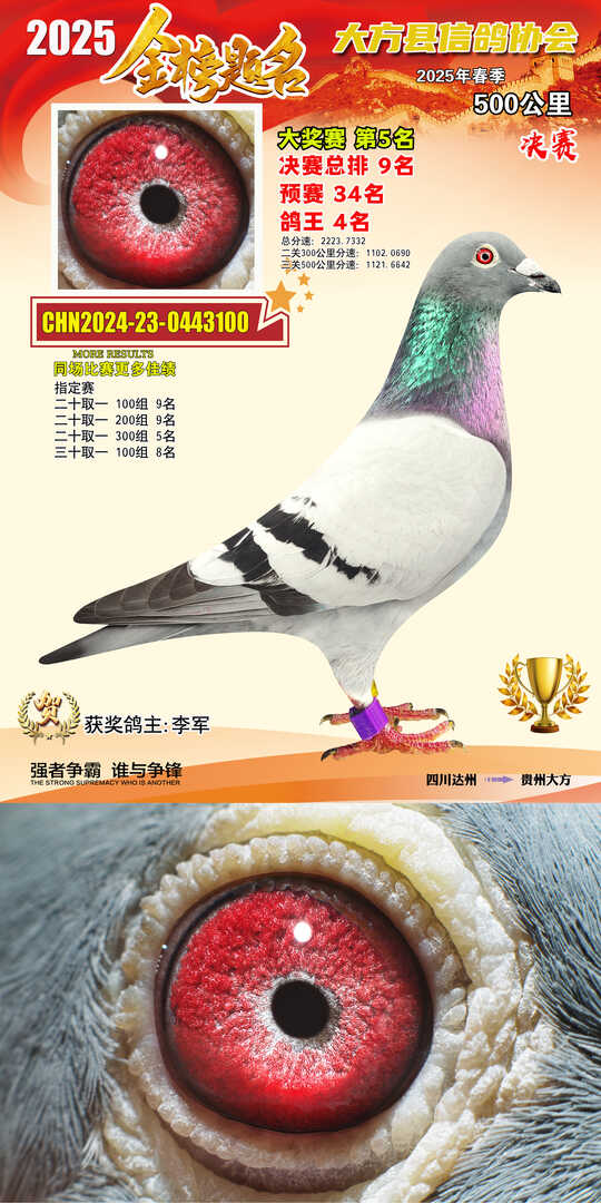 大奖5号