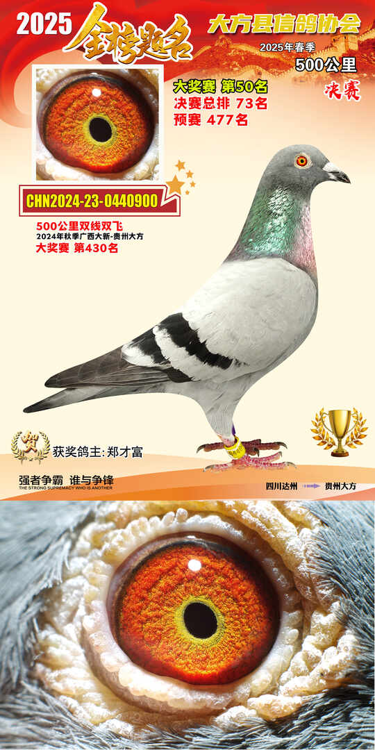 大奖50号
