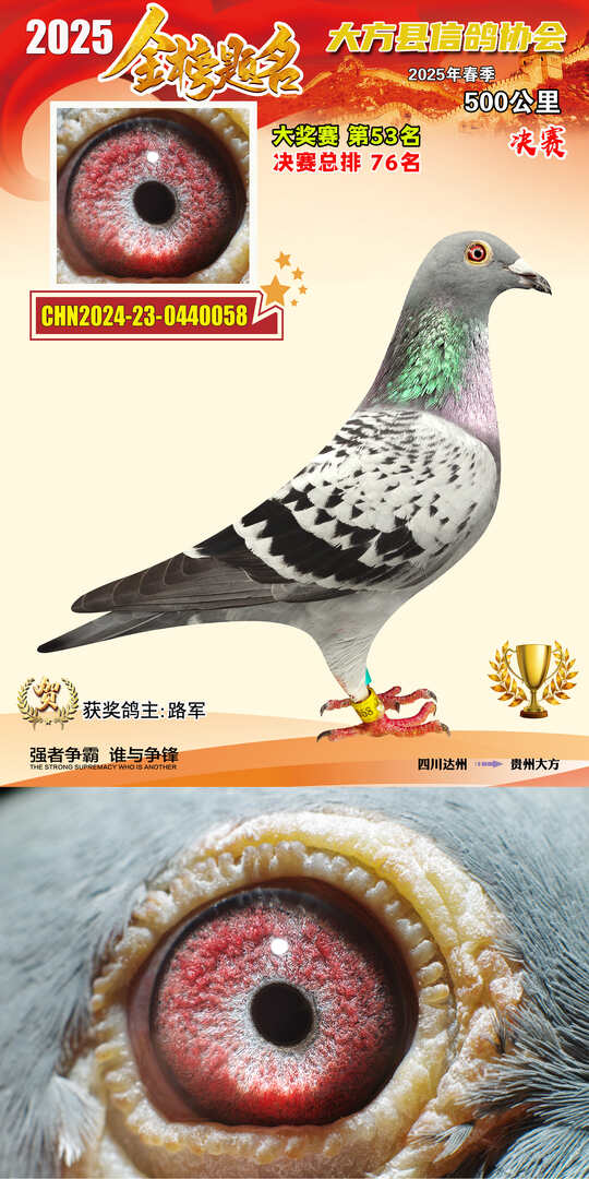 大奖53号