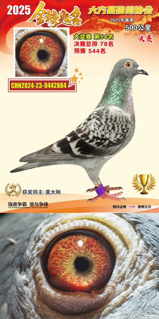 大奖54号