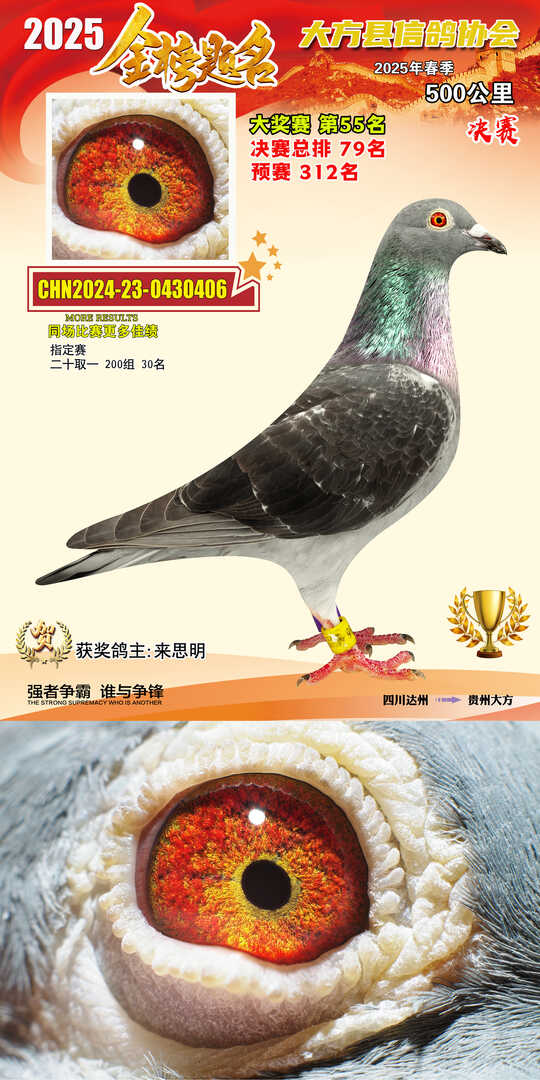 大奖55号