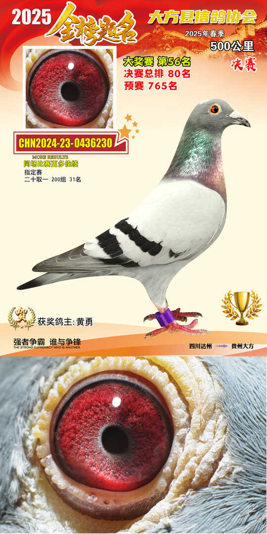 大奖56号