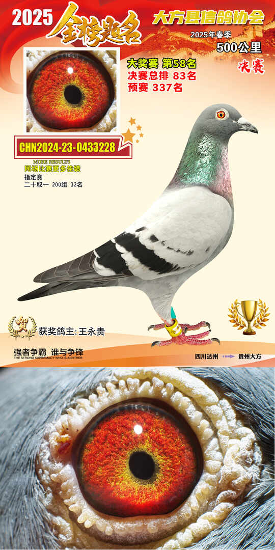 大奖58号