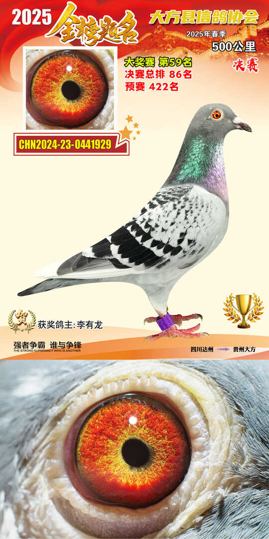 大奖59号