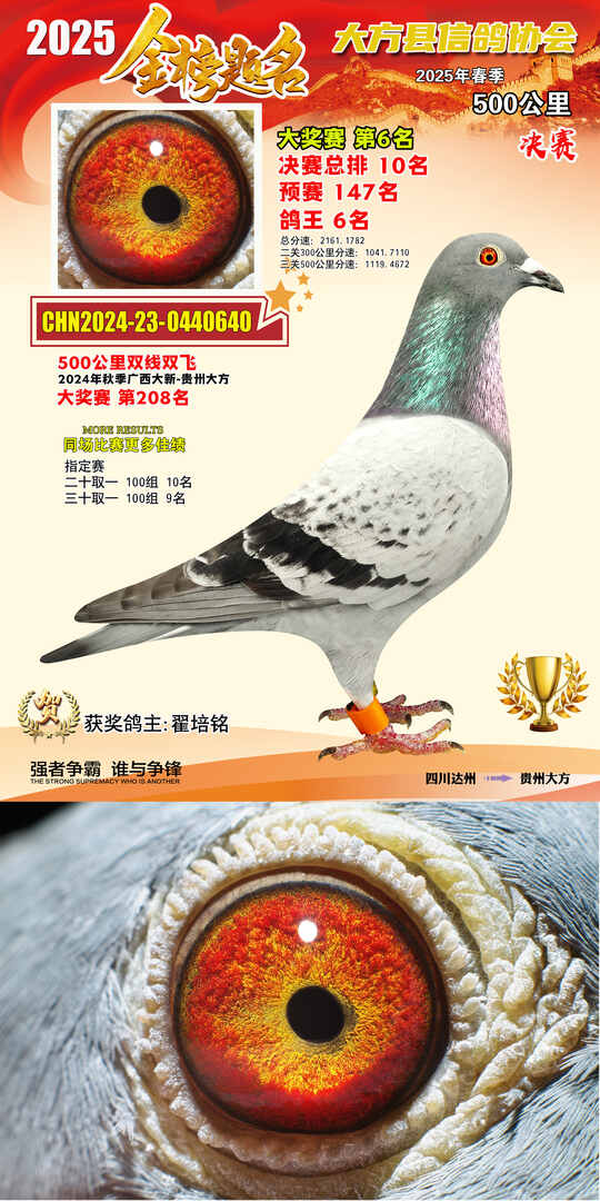 大奖6号