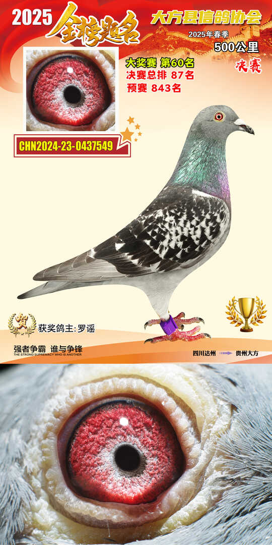 大奖60号