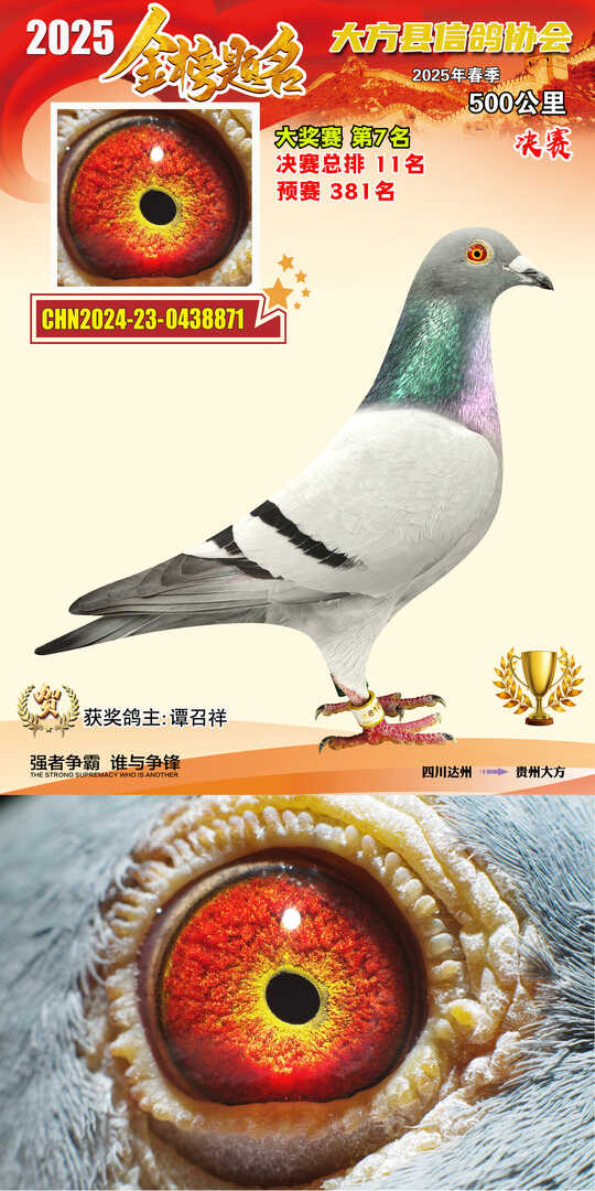 大奖7号