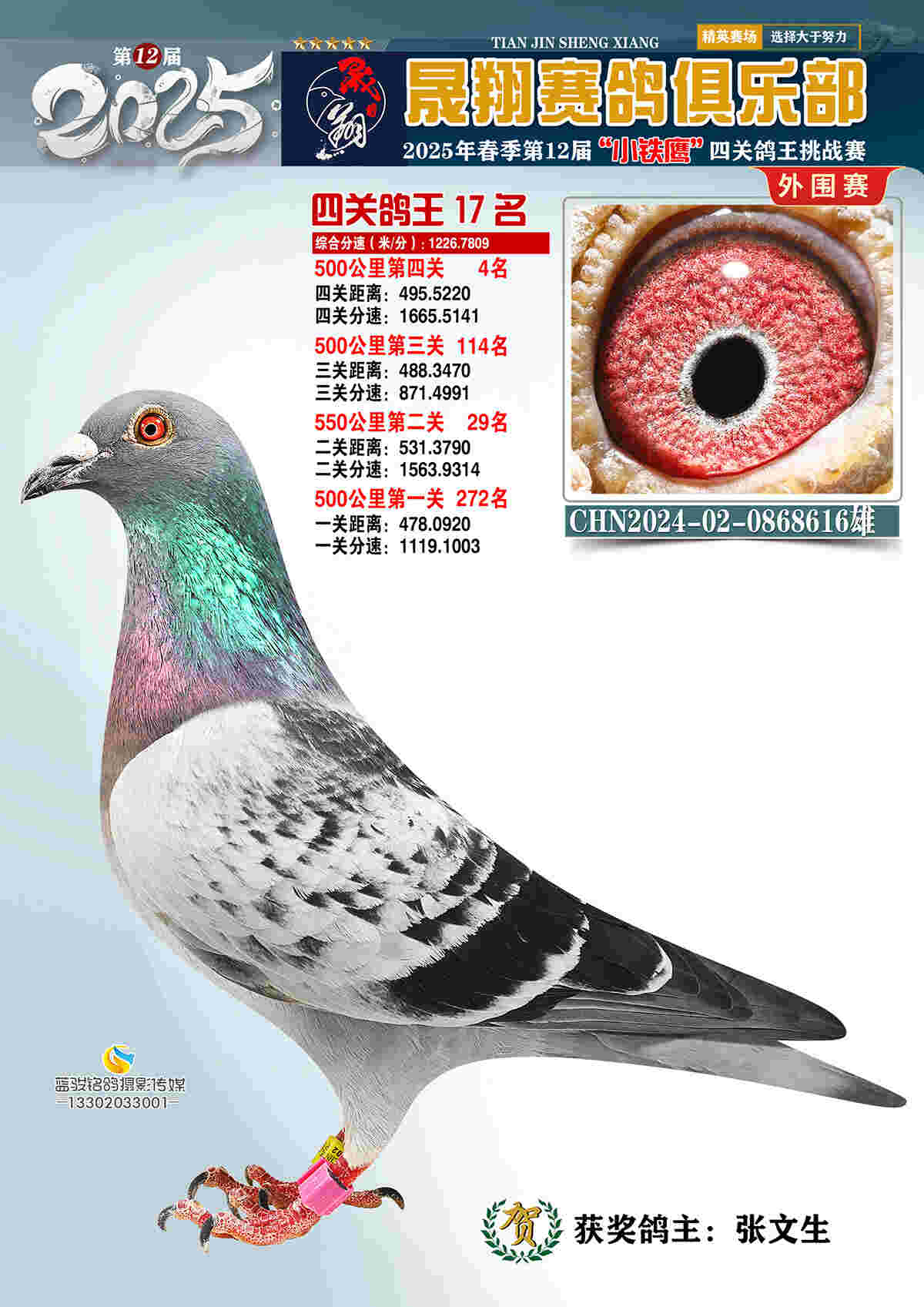 外围赛17号