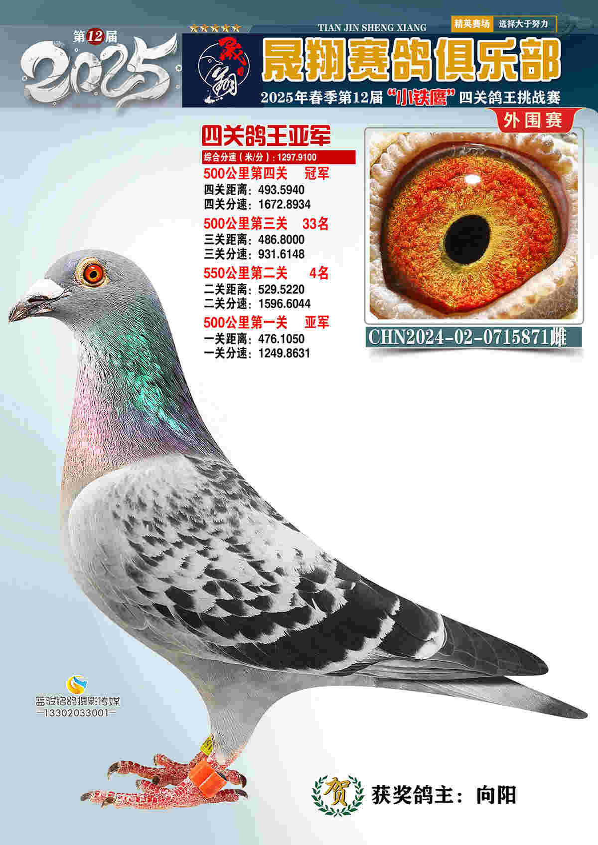 外围赛2号