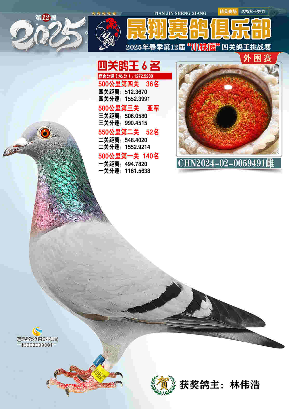外围赛6号