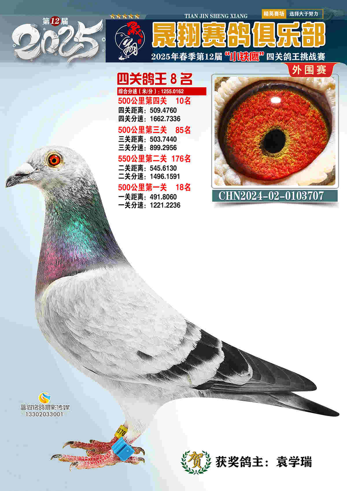 外围赛8号