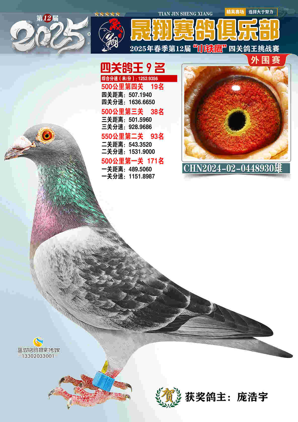 外围赛9号