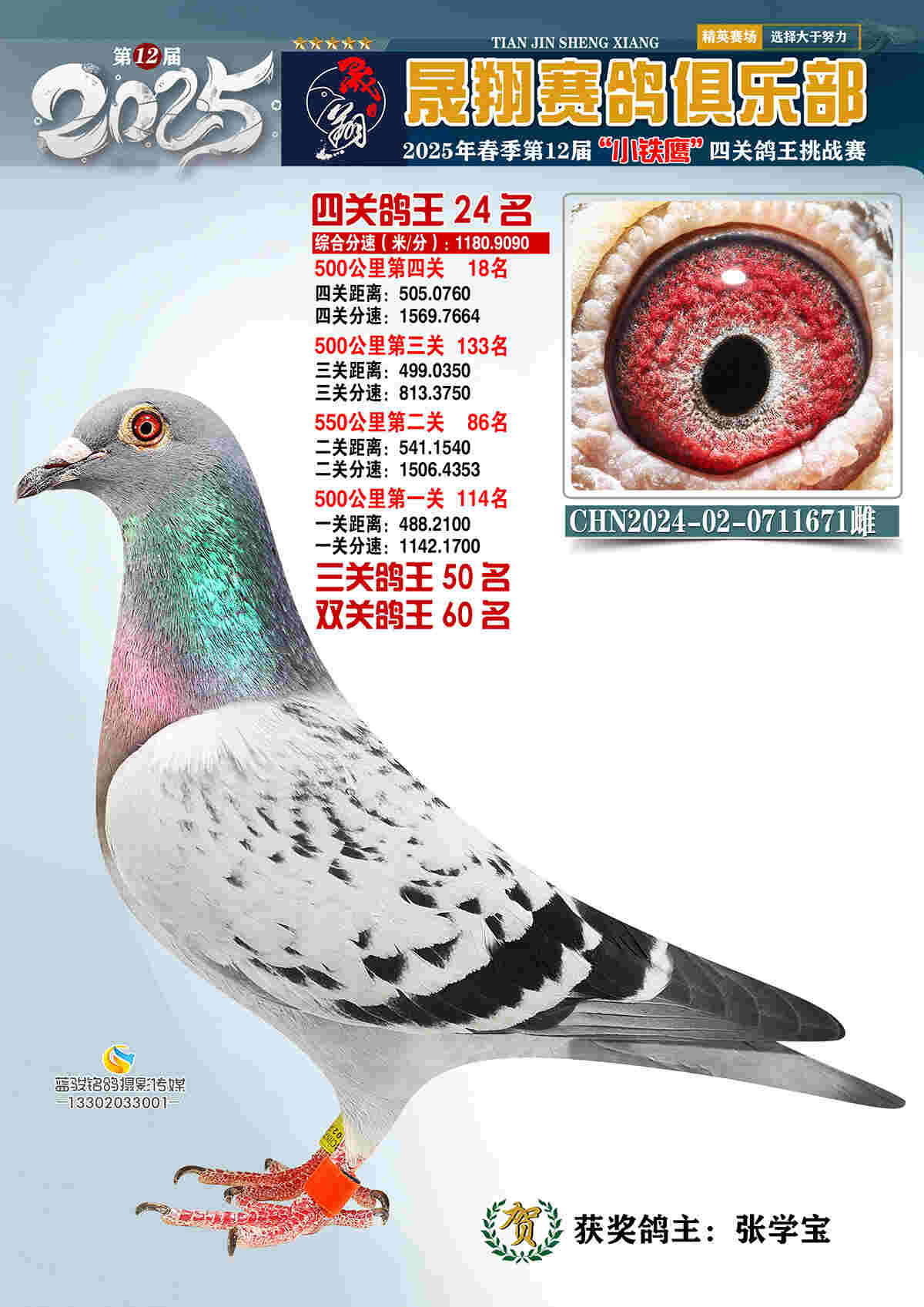 25晟翔春24号