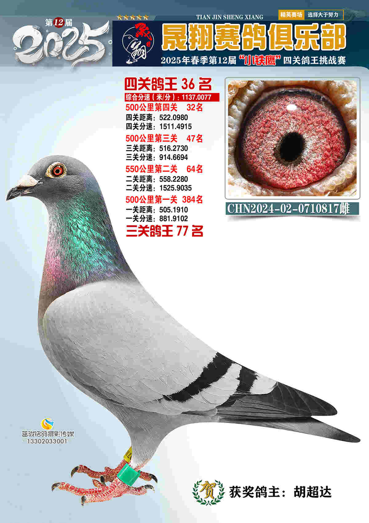 25晟翔春36号