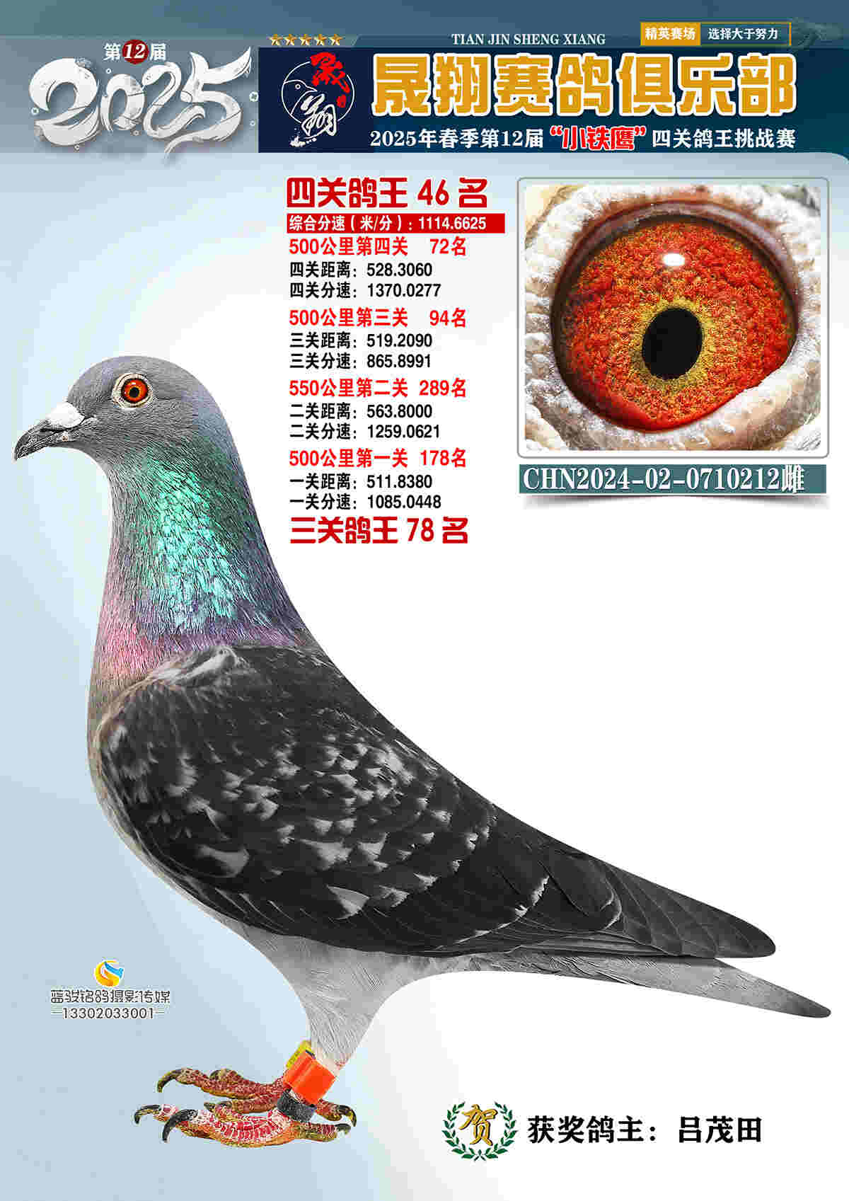 25晟翔春46号
