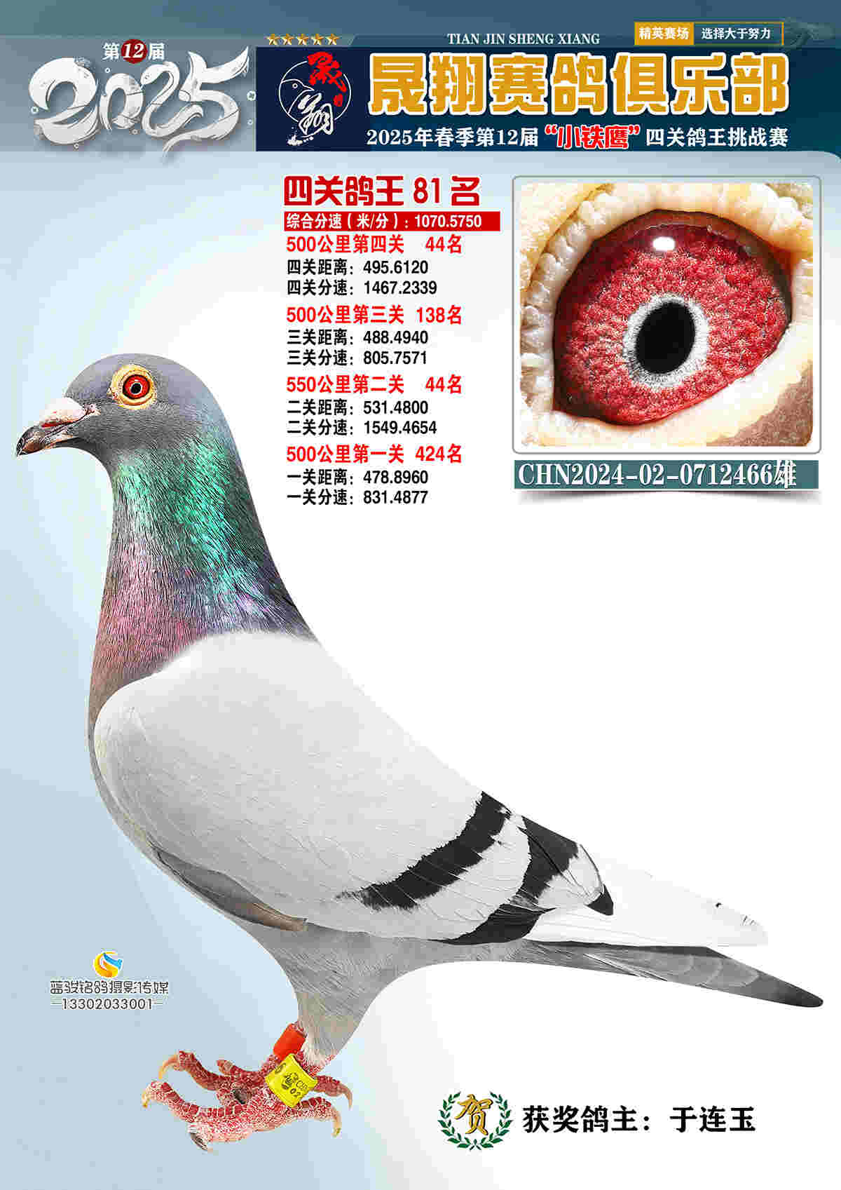 25晟翔春81号