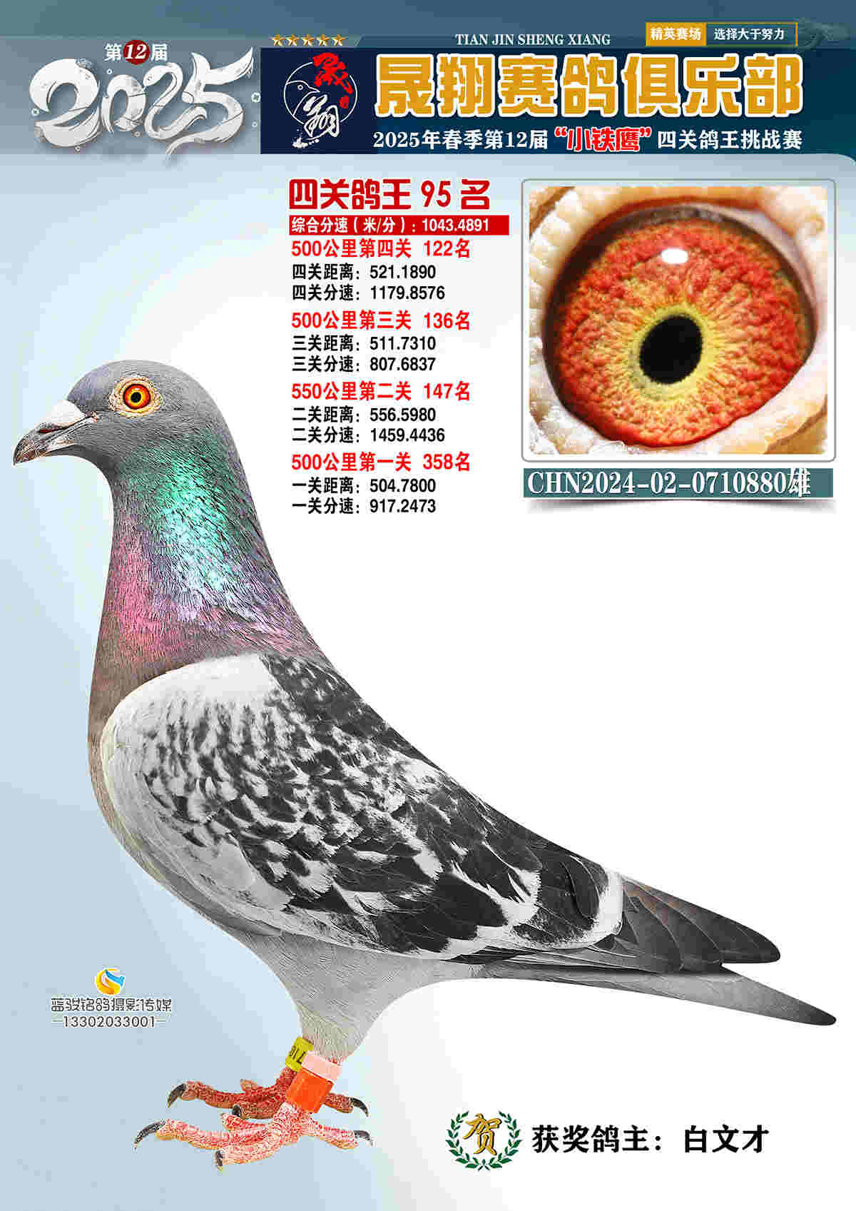 25晟翔春95号