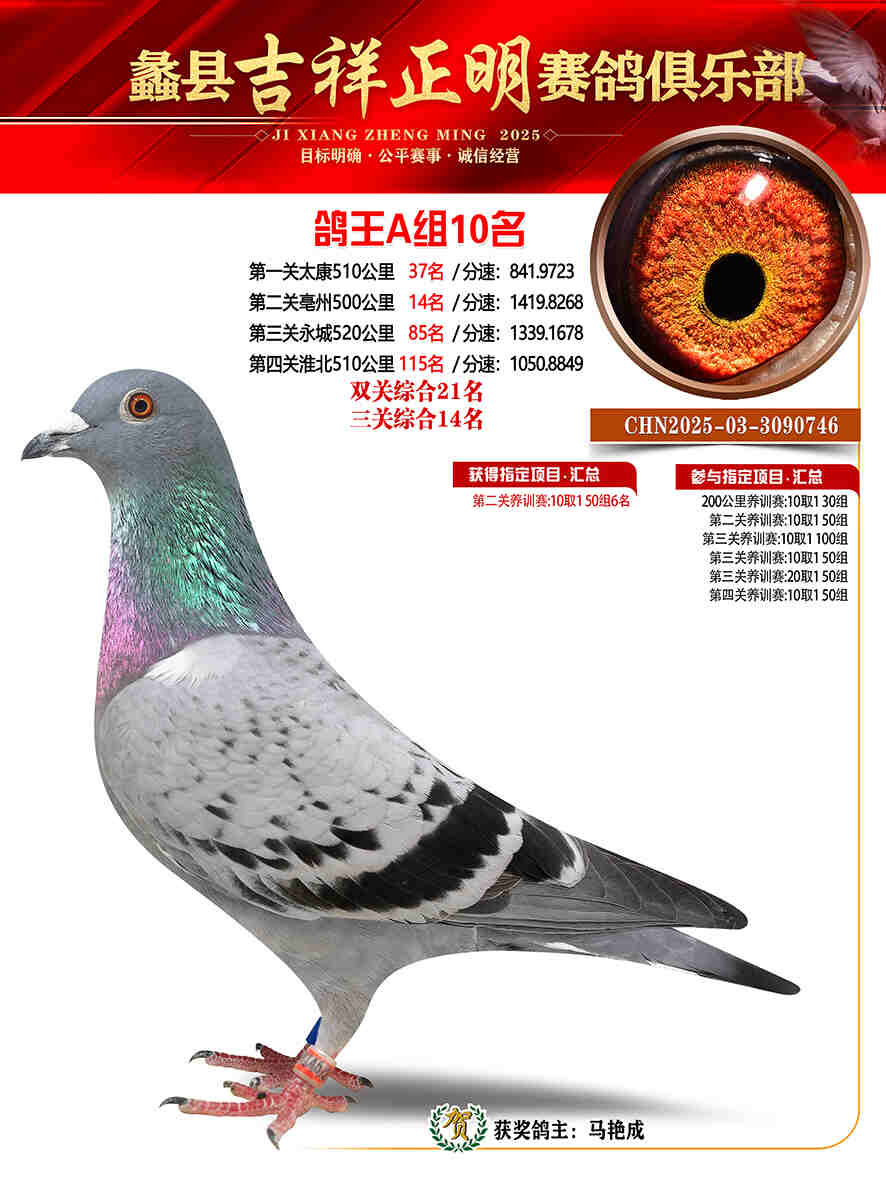 25年秋吉祥正明10号