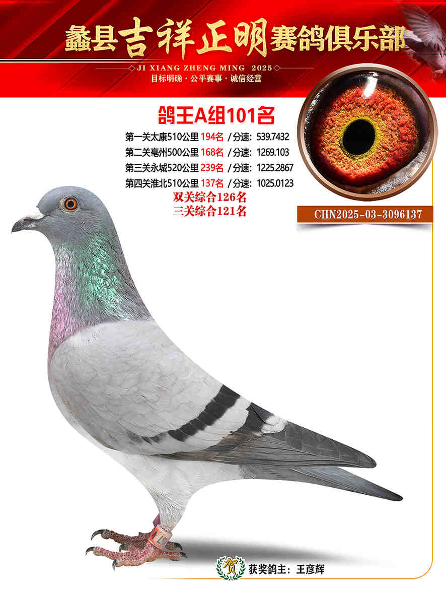 25年秋吉祥正明101号