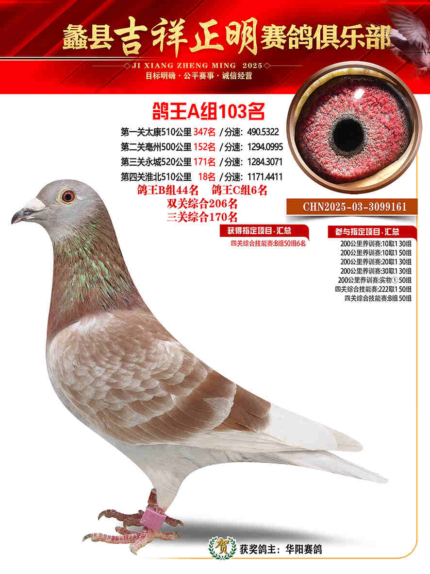 25年秋吉祥正明103号