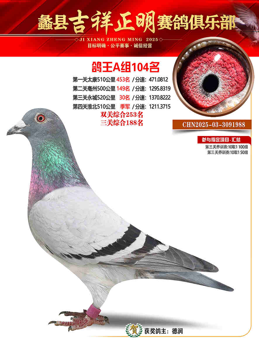 25年秋吉祥正明104号